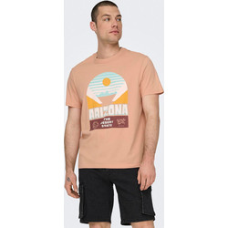 Ανδρικό t-shirt ONSMACALLAN LIFE REG DESERT SS TEE 22029439