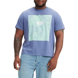Μπλούζα Κοντομάνικη Levi's B&T Big Graphic 567600085-85 Ανδρικό