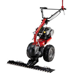 Eurosystems M210 με Κινητήρα Loncin