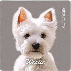 Action Lab Μαγνητάκι Magnet Westie