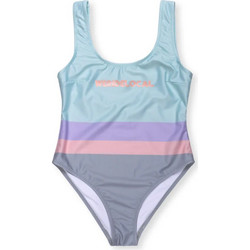 We RIde Local Retro Surf Onepiece