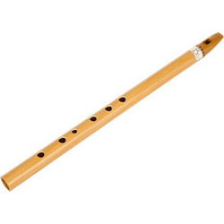 Terre Irish Whistle Bb