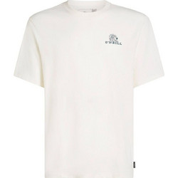 O'Neill M Global T-Shirt (2850286-11010)