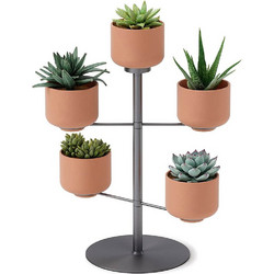 Σταντ με 5 κασπώ Umbra Terrapota Planter 1015664-624