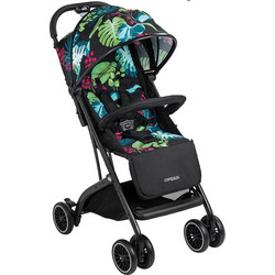 Cam Compass Floral 170