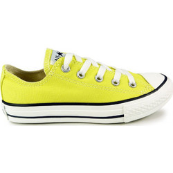 Converse Chuck Taylor All Star 336817C
