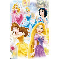 PRINCESS - Group - Poster 61 x 91cm