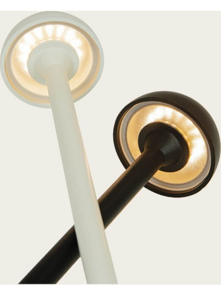 Zambelis Lights E313