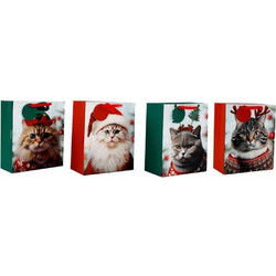 Τσάντα δώρου χαρτ.CAT w/HAT 19Χ23 - Plastona
