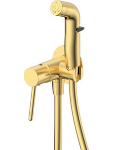 RAVENNA Nami Trigger Brushed Gold PVD Επιτοίχιο Σετ Μπιντέ με Μίκτη