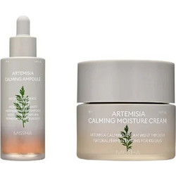 Missha Time Revolution Artemisia Set