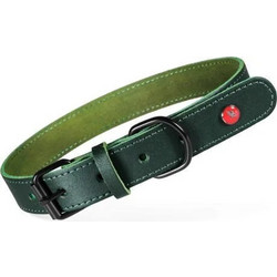 Dingo Zolux Classic Leather Κολάρο Σκύλου Πράσινο 2.5x55cm