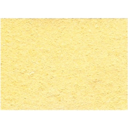 TIPA Spare sponge for ZD-912,ZD-917,ZD-8915,ZD-8925