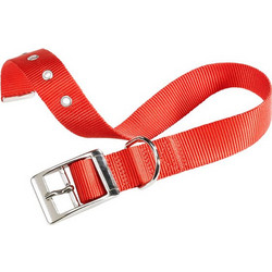 Ferplast Club CF Κολάρο Σκύλου Κόκκινο 2.5x45-53cm