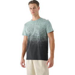 4F Ανδρικό Αθλητικό T-Shirt Βεραμάν 4FRSS24TTSHM2538-47S