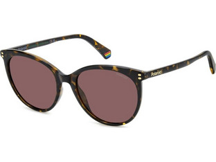 Polaroid Eyewear PLD6231S 086KL Ανδρικά Γυαλιά Ηλίου Στρογγυλά Κοκάλινα Ταρταρούγα με Καφέ Φακό