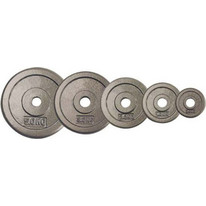 Alpine Fitness Δίσκος Μεταλλικός 10kg Φ30mm