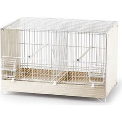 Domus Molinari Κλουβί Ζευγαρώστρα Πτηνών 55x31x34cm