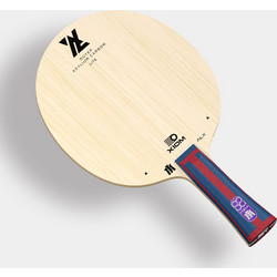 Xiom LSS ALX Lite FL