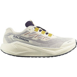 Salomon Aero Blaze 3 GORE-TEX Ανδρικά Αθλητικά Παπούτσια Trail Running Μπεζ L47953200