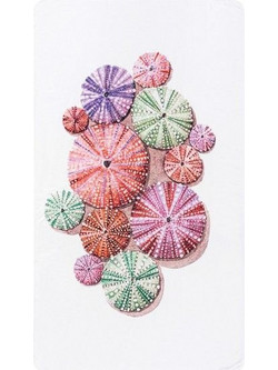 Graccioza Urchin Πετσέτα Θαλάσσης Λευκή 100x180cm