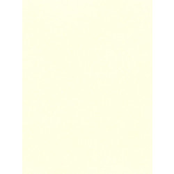 Favini Χαρτόνι Κανσόν Μπεζ 70x100cm 831.70100.05T