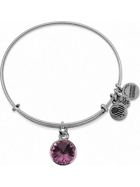 Alex and Ani Γυναικείο Βραχιόλι Βέργα Ασημί A12EB245RS