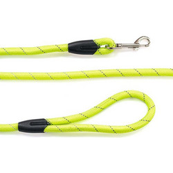 Glee Round Λουρί Σκύλου 1.22m x 18mm Lime