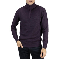 Lexton Nest Half Zip Ανδρική Πλεκτή Μπλούζα με Φερμουάρ Μωβ 17.36