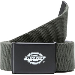 Dickies Orcutt Ανδρική Ζώνη Υφασμάτινη Χακί DK0A4X7EMGR