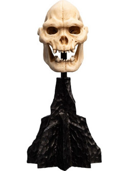 Weta Workshop The Lord of the Rings Skull of Lurtz 14cm