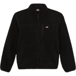 Dickies Ανδρικό Μπουφάν Χειμωνιάτικο Μαύρο DK0A4YEEBLK