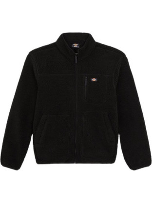 Dickies Ανδρικό Μπουφάν Χειμωνιάτικο Μαύρο DK0A4YEEBLK