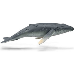 Collecta Μεγάπτερο Φαλαινάκι 88963