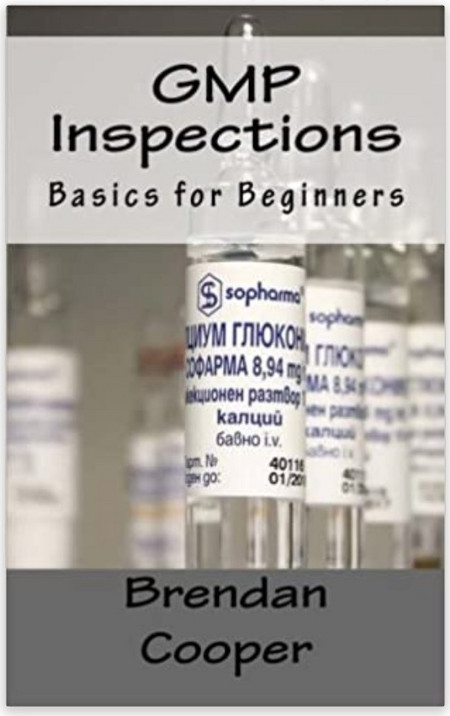 GMP Inspections: Basics for Beginners Paperback