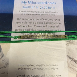 Coordinates Mini Wristlet Μήλος