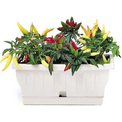 BAMA ITALY Ζαρντινιέρα Decor 30cm/40cm/50cm/60cm/80cm με Αυτοποτιζόμενο Πιάτο Πλαστική Λευκή NATURA