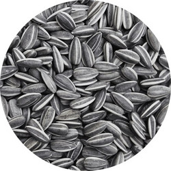 Ηλιόσπορος Ψιλός Ριγέ 1kg
