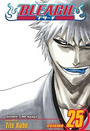 Bleach, Vol. 25 Bleach, Vol. 25