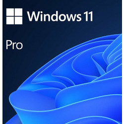 Microsoft Windows 11 Professional 64-bit Multi-language