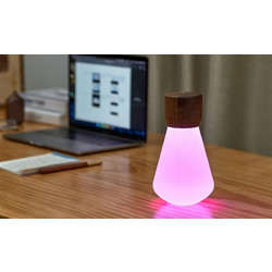 Pentagon Desk Bulb Gingko Walnut G021WT1