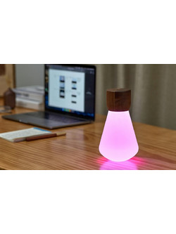 Pentagon Desk Bulb Gingko Walnut G021WT1