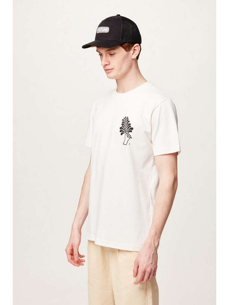 Picture CC Men΄s HEALING Cotton T-Shirt - Natural - Regular fit