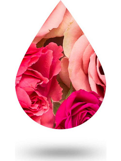 Romance Blend - 50 ml