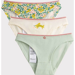 DPAM σετ παιδικά εσώρουχα Multi Nature - 353905 Πολύχρωμο