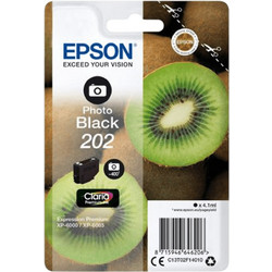 Epson 202 Photo Black Μελάνι Εκτυπωτή Inkjet C13T02F140