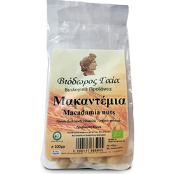 Macadamia nuts (Μακαντέμια φυστίκια) βιολογικά Βιόδωρος Γαία 100γρ - Βιόδωρος Γαία