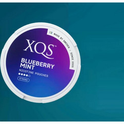 XQS σακουλάκια νικοτίνης BLUEBERRY MINT Strong 20 8mg Νικοτίνη (Made in Sweden)