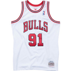 Mitchell & Ness Dennis Rodman Chicago Bulls Φανέλα Μπάσκετ NBA SMJYAC18079-CBUWHIT97DRD