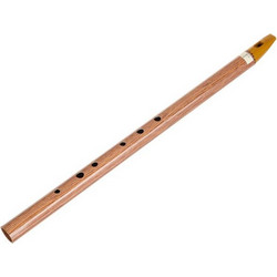 Terre Irish Whistle F